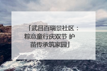 武昌百瑞景社区：粽意童行庆双节 护苗传承筑家园
