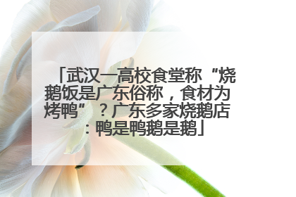 武汉一高校食堂称“烧鹅饭是广东俗称，食材为烤鸭”？广东多家烧鹅店：鸭是鸭鹅是鹅