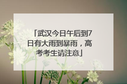 武汉今日午后到7日有大雨到暴雨，高考考生请注意