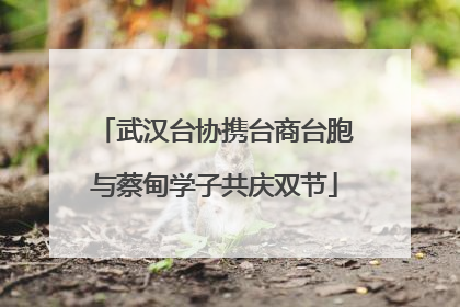 武汉台协携台商台胞与蔡甸学子共庆双节