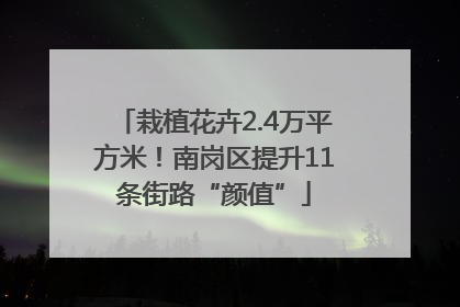 栽植花卉2.4万平方米！南岗区提升11条街路“颜值”