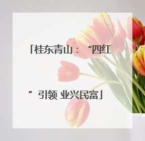 桂东青山：“四红”引领 业兴民富