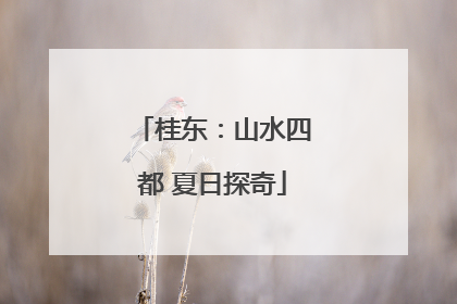 桂东：山水四都 夏日探奇