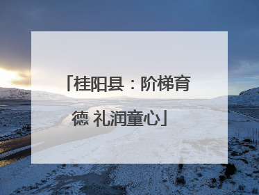 桂阳县：阶梯育德 礼润童心