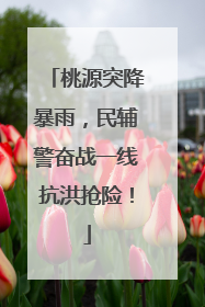 桃源突降暴雨，民辅警奋战一线抗洪抢险！