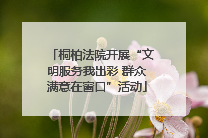 桐柏法院开展“文明服务我出彩 群众满意在窗口”活动