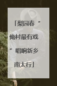 梨园春“俺村最有戏”唱响新乡南太行