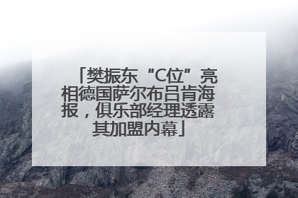 樊振东“C位”亮相德国萨尔布吕肯海报，俱乐部经理透露其加盟内幕