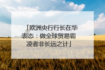 欧洲央行行长在华表态：做全球贸易霸凌者非长远之计