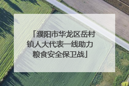 濮阳市华龙区岳村镇人大代表一线助力粮食安全保卫战