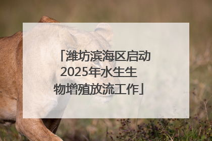 潍坊滨海区启动2025年水生生物增殖放流工作