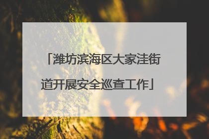 潍坊滨海区大家洼街道开展安全巡查工作