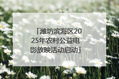 潍坊滨海区2025年农村公益电影放映活动启动