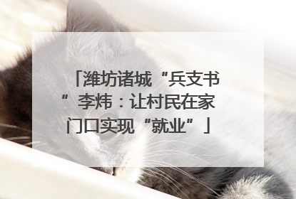 潍坊诸城“兵支书”李炜：让村民在家门口实现“就业”