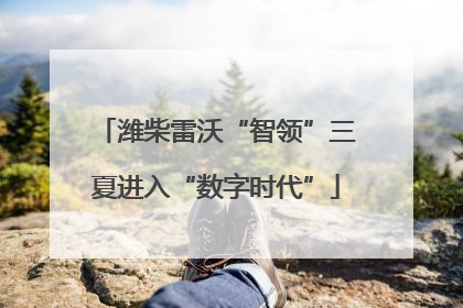 潍柴雷沃“智领”三夏进入“数字时代”