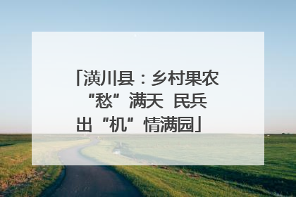 潢川县：乡村果农“愁”满天  民兵出“机”情满园