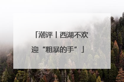 潮评丨西湖不欢迎“粗暴的手”