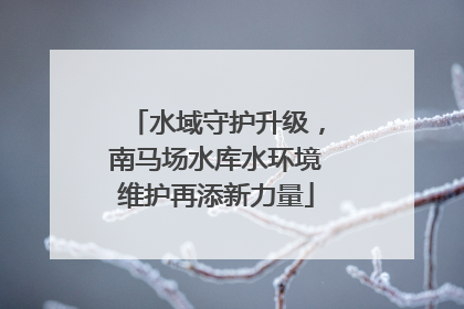 水域守护升级，南马场水库水环境维护再添新力量