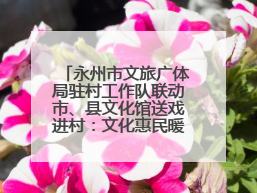 永州市文旅广体局驻村工作队联动市、县文化馆送戏进村：文化惠民暖棠下 驻村赋能展新篇