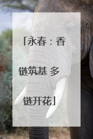 永春：香链筑基 多链开花
