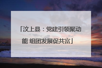 汶上县：党建引领聚动能 组团发展促共富