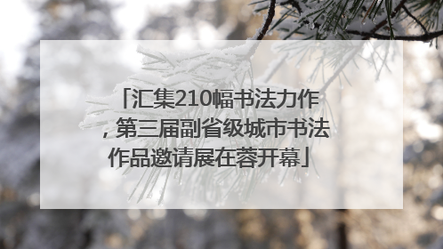 汇集210幅书法力作，第三届副省级城市书法作品邀请展在蓉开幕