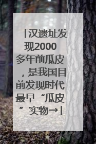 汉遗址发现2000多年前瓜皮，是我国目前发现时代最早“瓜皮”实物→