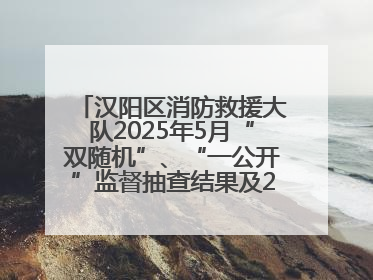 汉阳区消防救援大队2025年5月“双随机”、“一公开”监督抽查结果及2025年6月监督抽查任务公示