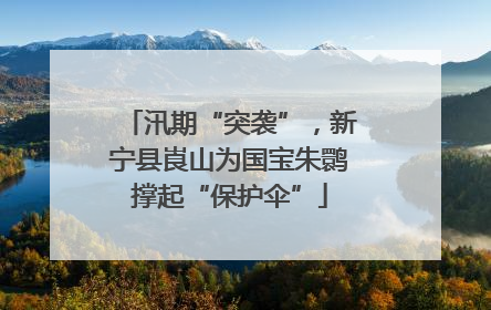 汛期“突袭”，新宁县崀山为国宝朱鹮撑起“保护伞”