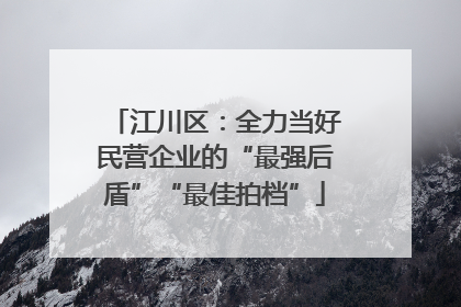 江川区：全力当好民营企业的“最强后盾”“最佳拍档”