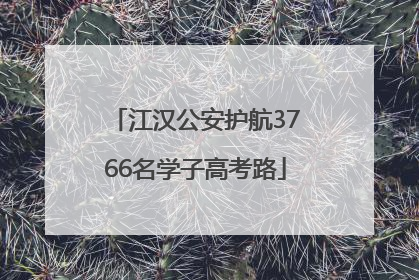 江汉公安护航3766名学子高考路