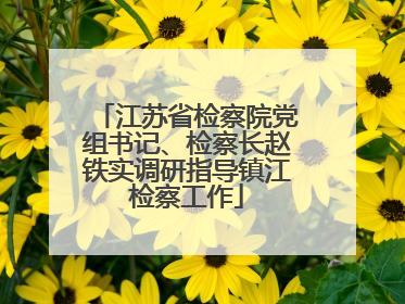 江苏省检察院党组书记、检察长赵铁实调研指导镇江检察工作