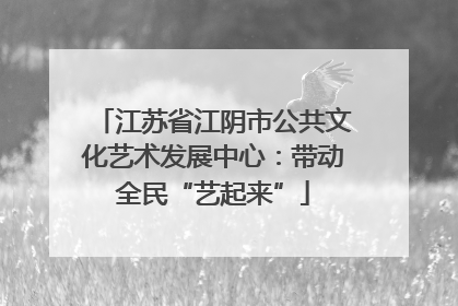 江苏省江阴市公共文化艺术发展中心：带动全民“艺起来”