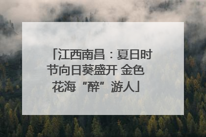 江西南昌：夏日时节向日葵盛开 金色花海“醉”游人