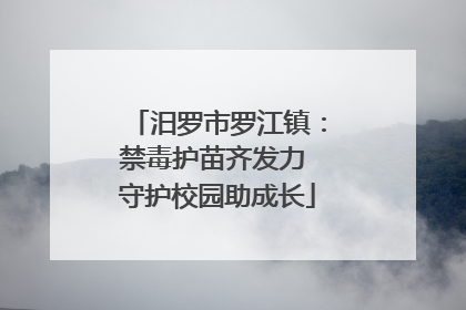 汨罗市罗江镇：禁毒护苗齐发力 守护校园助成长