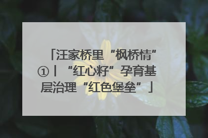 汪家桥里“枫桥情”①丨“红心籽”孕育基层治理“红色堡垒”