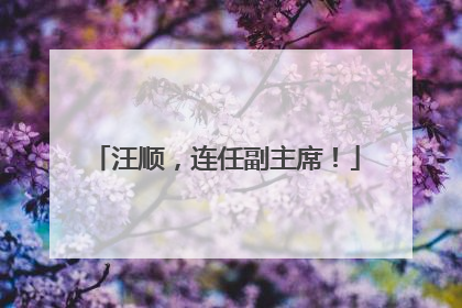 汪顺，连任副主席！