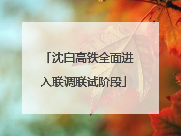 沈白高铁全面进入联调联试阶段