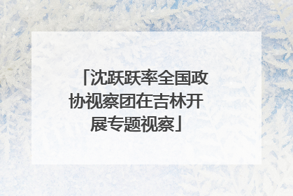 沈跃跃率全国政协视察团在吉林开展专题视察