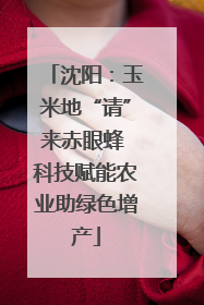 沈阳：玉米地“请”来赤眼蜂 科技赋能农业助绿色增产