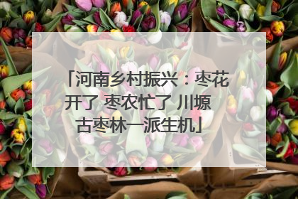 河南乡村振兴：枣花开了 枣农忙了 川塬古枣林一派生机