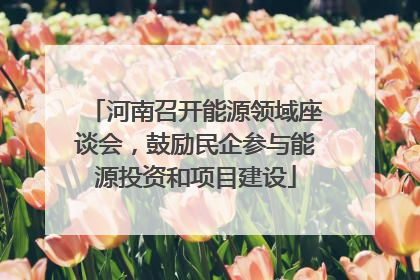 河南召开能源领域座谈会，鼓励民企参与能源投资和项目建设