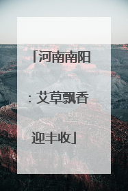 河南南阳：艾草飘香迎丰收