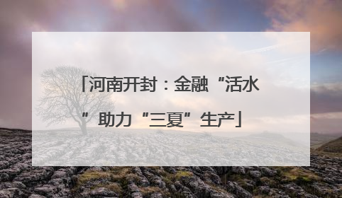 河南开封：金融“活水”助力“三夏”生产