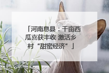 河南息县：千亩西瓜喜获丰收 激活乡村“甜蜜经济”