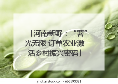 河南新野：“薯”光无限 订单农业激活乡村振兴密码
