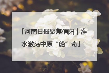 河南日报聚焦信阳｜淮水激荡中原“船”奇