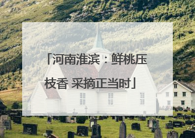 河南淮滨：鲜桃压枝香 采摘正当时