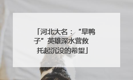河北大名：“旱鸭子”英雄深水营救 托起沉没的希望