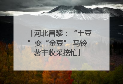 河北昌黎：“土豆”变“金豆” 马铃薯丰收采挖忙
